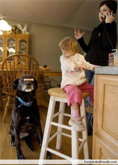 smallest-woman-in-world-005
