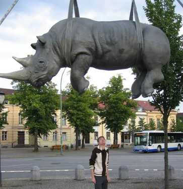amazing statues hanging rhino