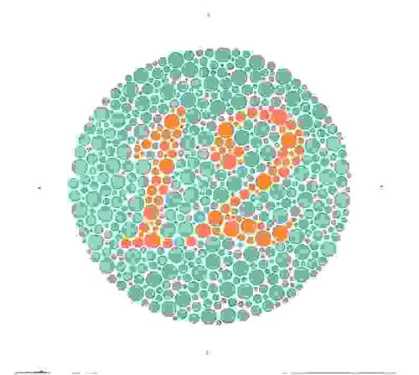 eye illusions colour blindness test 1