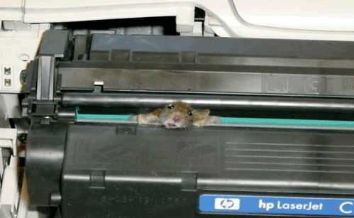 printer mouse