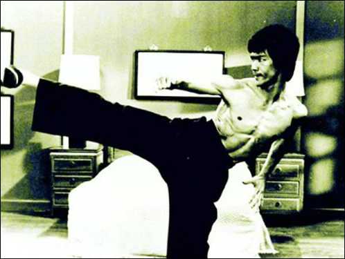 incredible martial artist bruce lee rare collection 19
