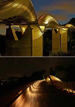 most-amazing-bridge-3rd-Henderson-Waves-Singapore-Most-Beautiful-Pedestrian-Bridge