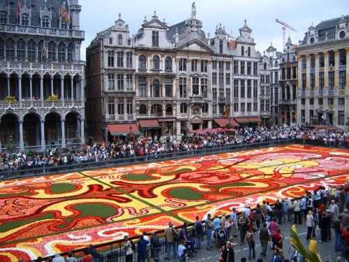 Flower Carpet Brussels Belgium 2