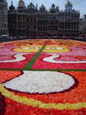 Flower Carpet Brussels Belgium 3