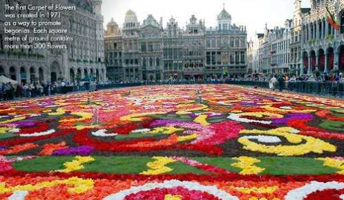 Flower Carpet Brussels Belgium 6
