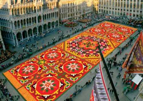 Flower Carpet Brussels Belgium 7
