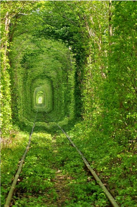 amazing paths 6