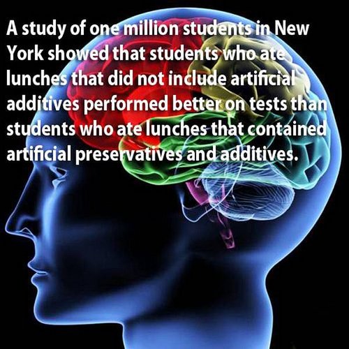 18 facts human brain 5