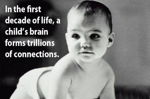 18 facts human brain 9