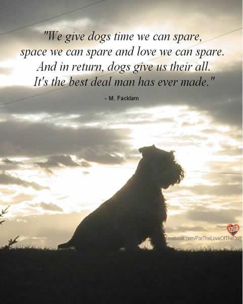 Beautiful Quotes About Dogs Death. QuotesGram